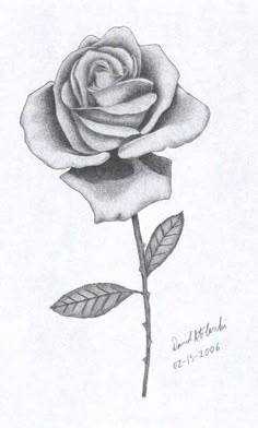 Terms in russian language how are yourself different Pictures of drawings of roses