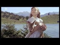 Deutsche heimatfilme - Die qualitativsten Deutsche heimatfilme im Vergleich!