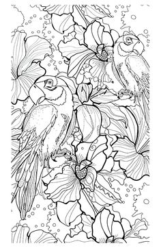 I spy numbers or sight words? Free Printable Ocean Coloring Pages ... I spy numbers or sight words? Free Printable Ocean Coloring Pages ...