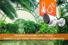 porno hd 720 2018 19г г