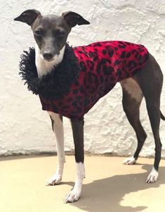 Velboa Fur Zebra White-Black Dog Coat with Fleece Lining