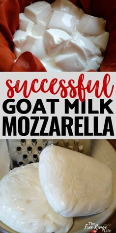 Goat Milk Mozzarella Recipe, Goat Milk Mozzarella Cheese Recipe, Goat Milk Yogurt, Goat Milk Recipes, Raw Milk Recipes, Homemade Goats Cheese, Goat Milk, Homemade Mozzarella Cheese, Milk Recipes