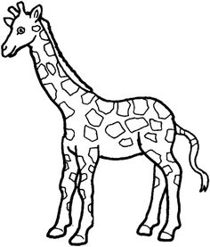 desenhos para colorir de animais leão girafa esquilo porco e