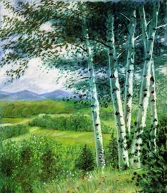 Green Tree Top Forest Sunset Photo TREBLE TOILE murale ART Imprimé