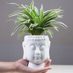 Small Size 13cm diameter Pot Cover Buddha Planter