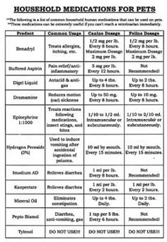 Dog Aspirin Dosage Chart Cats Dogs Other Pets Pinterest Dog S Upset Stomach And Diarrhea Is A Frequent Concern For Most Of Owners We Must Know How To Cure Them This Article Can Help You Care