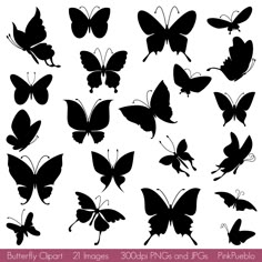 Butterfly Silhouettes Clipart Clip Art Butterfly Clipart Clip Etsy Butterfly clip art Silhouette clip art Silhouette art