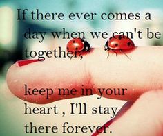 58 best ladybug quotes images ladybugs ladybug ladybug quotes quotes about ladybugs