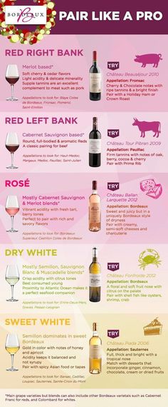 44 Best Wine Food Pairings Images Recipes Pair Like A Pro Bordeaux Wine Pairings Infographic