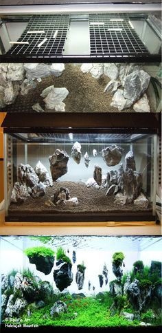 5746 best planted aquarium