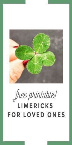 A Little Book of Limericks Funny Rhymes for all the Family
