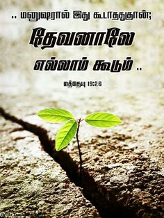 Tamil Bible Pdf For Samsung Mobile