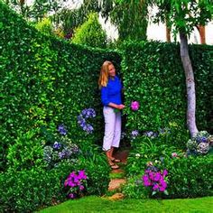 Secret Garden Ideas secret garden ideas coloring Love The Idea Talk About A Great Way To Hide A Secret Garden Secret Garden Ideas photo by ced stone group search modern landscape design ideas Love The Idea Talk About A Great Way To Hide A Secret Garden