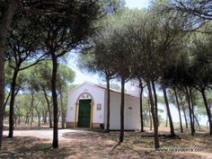 14 Ideas De Conil De La Frontera Paraiso Terrenal Paraiso Terrenal Cádiz Acantilados