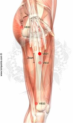 Auriculoterapia para bajar de peso puntos de infonavit