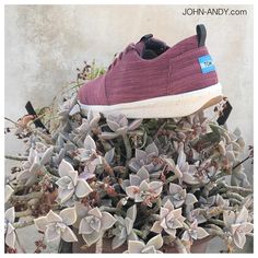 47 Best TOMS Mens Shoes images | Toms, Shoes, Shoes mens 47 Best TOMS Mens Shoes images | Toms, Shoes, Shoes mens