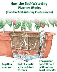 Self Watering Planters By Lechuza Pinterest Irrigation Growing Vegetables In Pots And Planters
