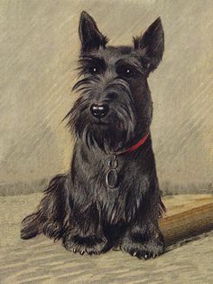 506 Best Scotties In Food Art Images Scottie Dog Scottie Dog