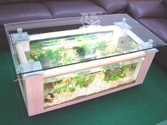 3076 best home decor