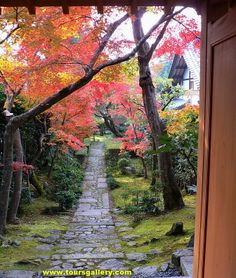 Small Group Fall Foliage Tours Small Group Fall Foliage Tours