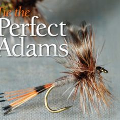 choix de tailles Black /& Paon Dry Mouches 6 pack trout fly de pêche Mouches sèches