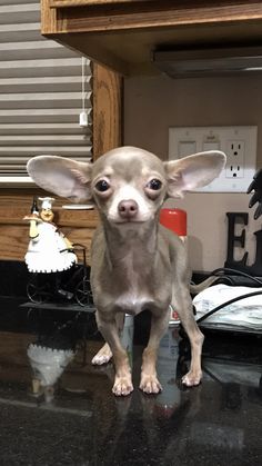 Xenia Loma Xenialoma Perfil Pinterest