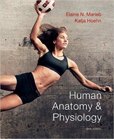 exercise physiology nutrition energy and human performance point