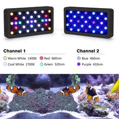 309 best aquarium images