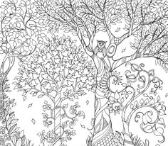 Secret Garden Coloring Book Pages Books Adult Free Colouring Gel Pens Johanna Basford Colored Pencils