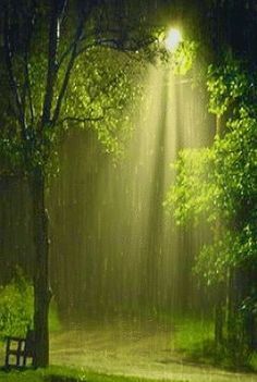 nature photo albums