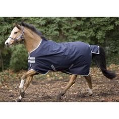Lightweight Turnout For Ruby The Wonderhorse Pinterest