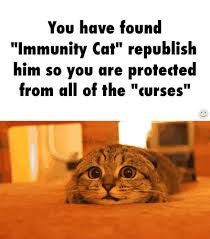 30 best immunity cat images in 2018 random things immunity cat