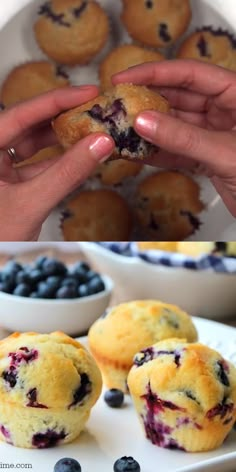 Try the best blueberry muffin recipe! This Blueberry Muffin Recipe is packed with flavor. These easy blueberry muffins are amazing. You have to try them today! #eatingonadime #blueberry #blueberrymuffins #breakfast #breakfastrecipes #muffinsrecipes #easyrecipes Homemade Blueberry Muffin Recipe, Easy Blueberry Muffins, Simple Muffin Recipe, Blueberry Cookies, Oreo Cookies