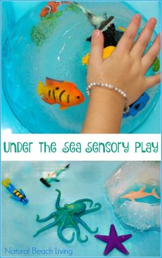 139 best ocean theme images in 2018 activities preschool school