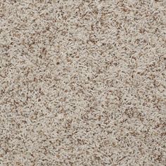 87 Best Shaw Anso Nylon Carpet Images On Pinterest Alamar B Shaw Anso Nylon Carpet Q4532