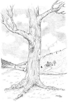 Tree Drawings Pencil, Landscape Pencil Drawings, Pencil Drawing Tutorials, Drawing Ideas, Drawing Tips, Tree Pencil Sketch, Pencil Sketching, Art Pencil, Drawings Of Trees