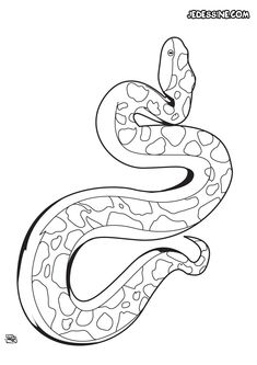 Free Printable Lion Coloring Pages For Kids