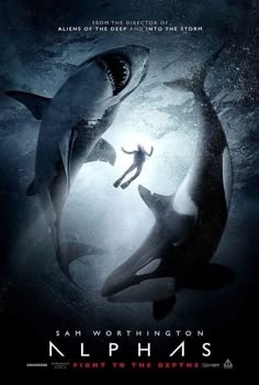 410 Ideas De Cine Peliculas En 2021 Peliculas Cine Peliculas De Terror