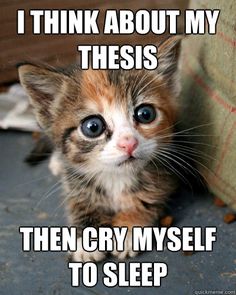 solutions for climate change essay insights