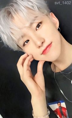 ホシ」のアイデア 42 件 | ホシ, 虎の赤ちゃん, seventeen（セブチ）