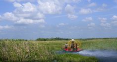 Budget Miami Beach Everglades Tour Budget Miami Beach Everglades Tour