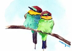 ACEO Limited Edition Rainbow bee eater Art print 2.5x3.5