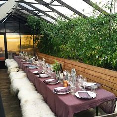 plantecenter fredericia