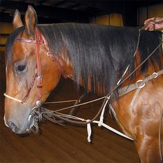 Southwestern Equine Barrel Racer German Martingale Southwestern Equine Barrel Racer German Martingale