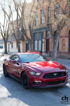 Ford Motors Polo officiel pour homme Mustang GT Cool Performance