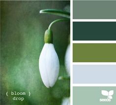 1835 best inspiration color images on pinterest in 2018 color