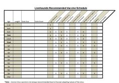 printable dog shot record forms dog shot record dogs puppies pets puppy vaccines schedule charts