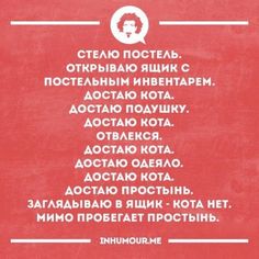 А кота все нет... (58) Одноклассники