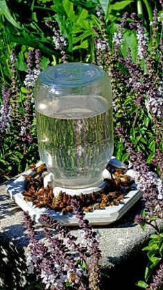 22 best water for