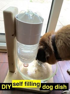 Relleno Personalizado Cachorro Perro Cachorro Perro Mascota Perro tratar el tarro Sorpresa Obsequio presente